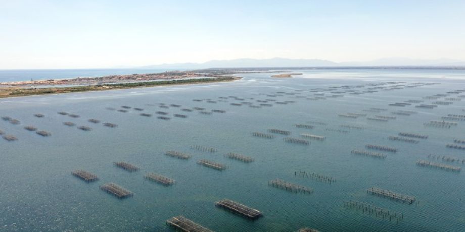 ostreiculture-maritime