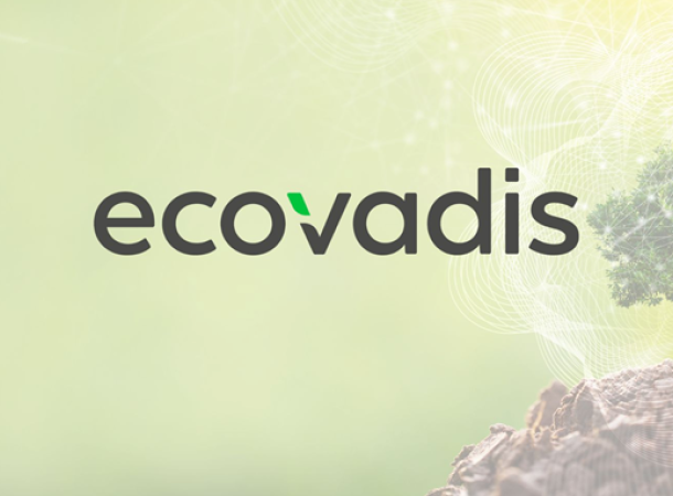 ECOVADIS WP