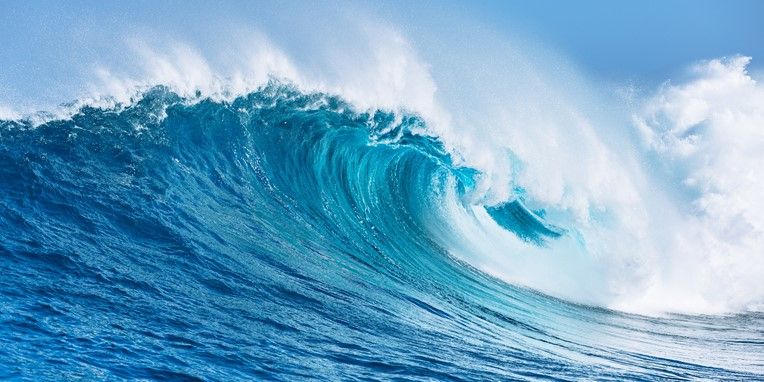 unoc-3-objectives-and-investment