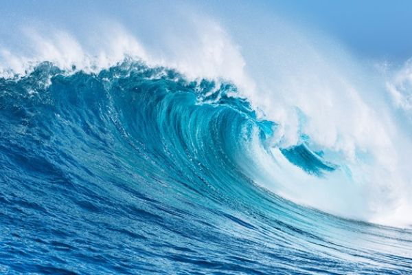 unoc-3-objectives-and-investment